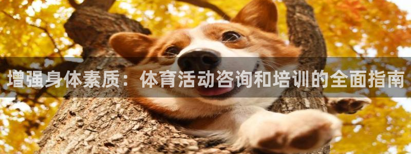 耀世娛樂如何登錄賬號?。涸鰪?qiáng)身體素質(zhì)：體育活動咨詢和