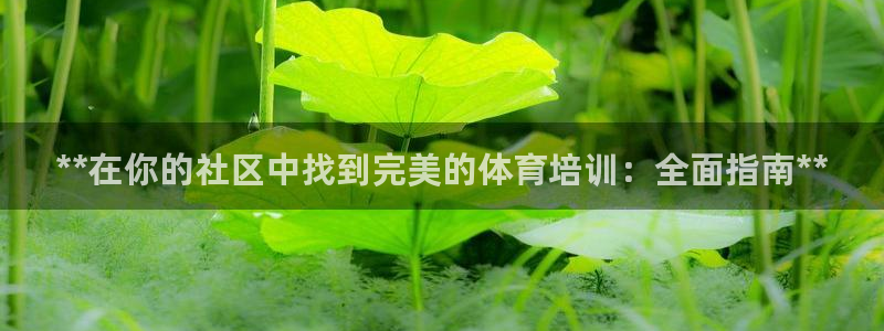 耀世挑戰(zhàn)第3關(guān)怎么過：**在你的社區(qū)中找到完美的體育