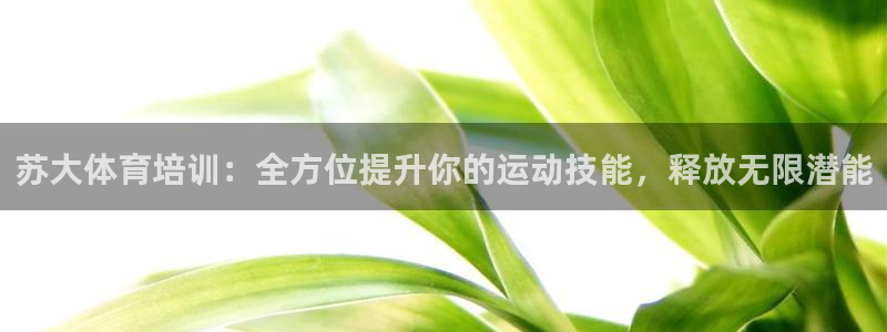 耀世娛樂騙局揭秘：蘇大體育培訓(xùn)：全方位提升你的運(yùn)動技