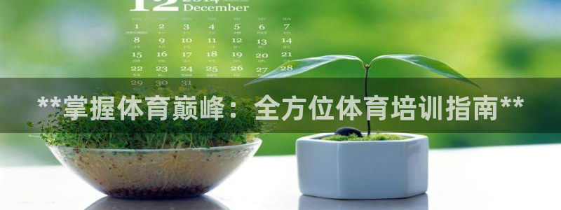 耀世雷霆下載：**掌握體育巔峰：全方位體育培訓(xùn)指南*