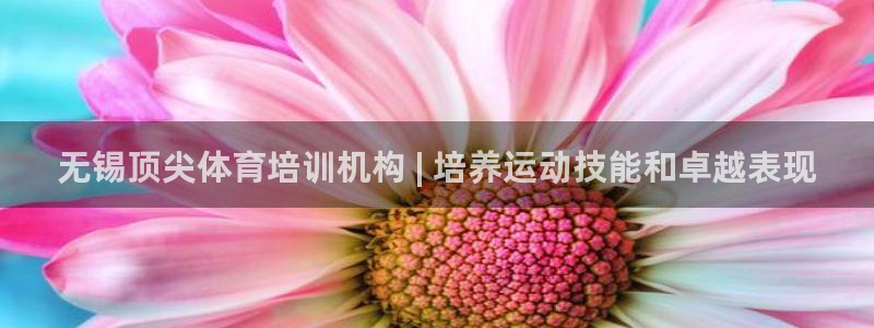 耀世娛樂價(jià) 411O31 耀世：無(wú)錫頂尖體育培訓(xùn)機(jī)構(gòu)