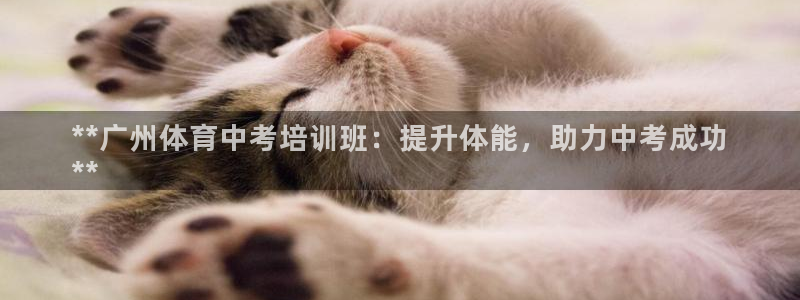 耀世娛樂下載最新版本安裝包：**廣州體育中考培訓(xùn)班：