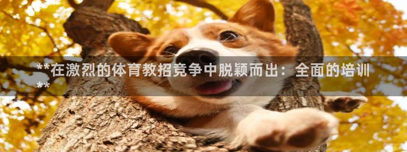 耀世娛樂返點：**在激烈的體育教招競爭中脫穎而出：全