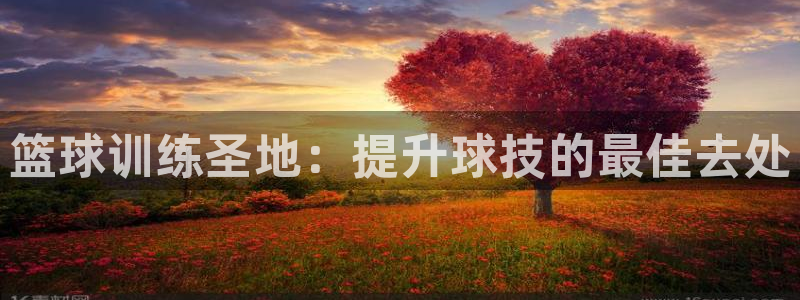 耀世開啟什么意思：籃球訓(xùn)練圣地：提升球技的最佳去處
