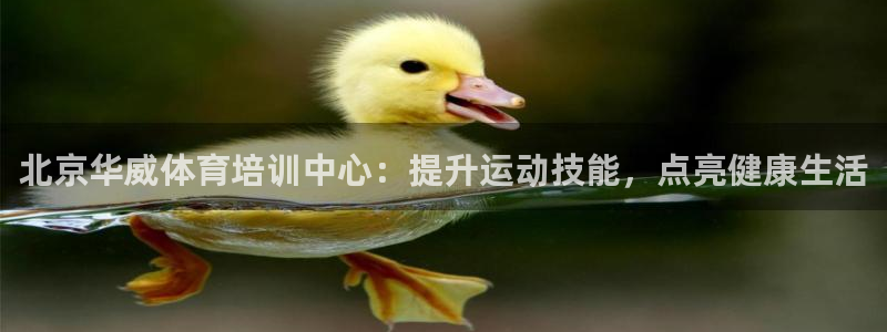 耀世平臺注冊開戶：北京華威體育培訓中心：提升運動技能
