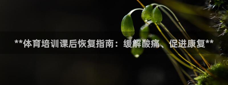 耀世國(guó)際平臺(tái)正規(guī)嗎安全嗎可靠嗎：**體育培訓(xùn)課后恢復(fù)
