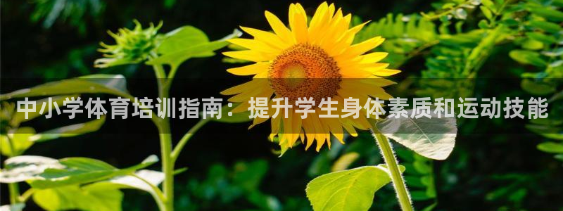 耀世娛樂客服電話多少：中小學(xué)體育培訓(xùn)指南：提升學(xué)生身