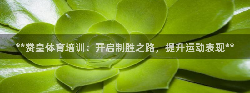 耀世平臺(tái)先 585341 耀世：**贊皇體育培訓(xùn)：開