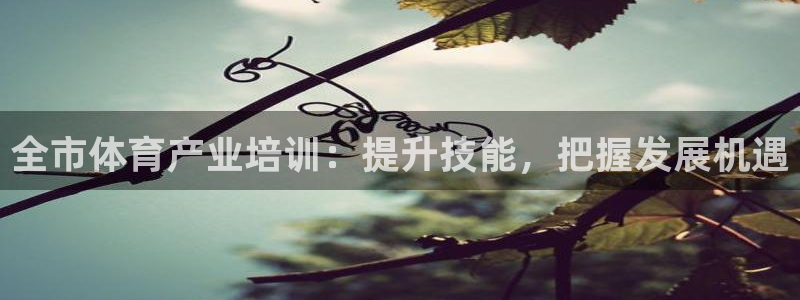 耀世平臺(tái)代理多少錢一個(gè)：全市體育產(chǎn)業(yè)培訓(xùn)：提升技能，