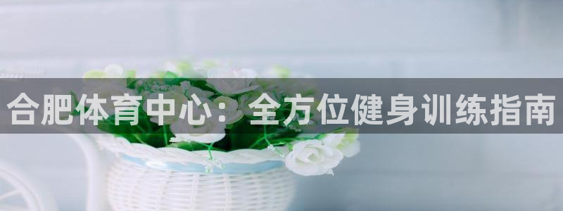 耀世娛樂下載最新版本安裝蘋果：合肥體育中心：全方位健