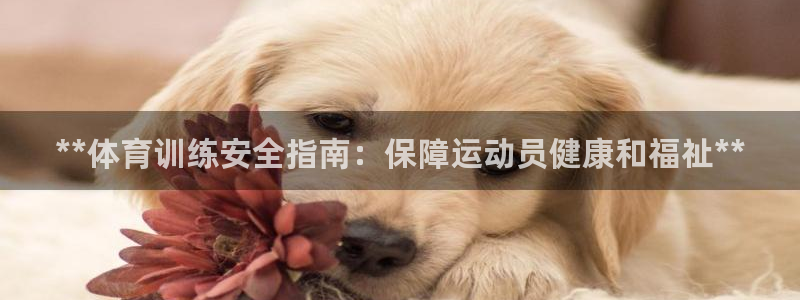 耀世登場之類的廣告詞：**體育訓(xùn)練安全指南：保障運(yùn)動