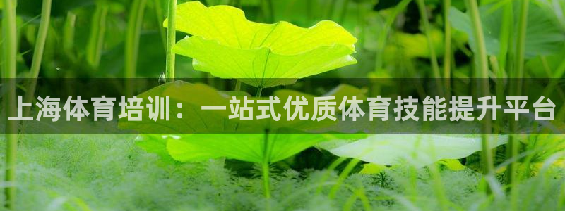 耀世平臺注冊登錄不上怎么回事：上海體育培訓(xùn)：一站式優(yōu)