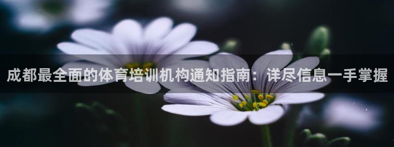耀世平臺注冊步驟圖片